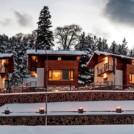 Crystal Hill Resort Bakuriani Exteriér fotografie